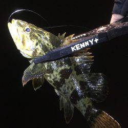 長いのよりも短いの。