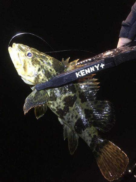 長いのよりも短いの。