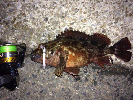 メバル プラグとフロート