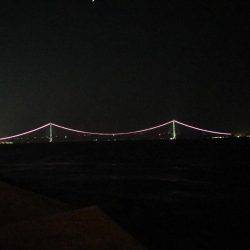 強風メバリング