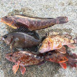 ランガン穴釣り釣行