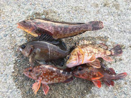 ランガン穴釣り釣行