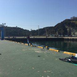 田浦漁港でファミリーフィッシング