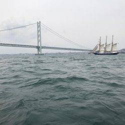 ガシラ  小潮  昼便