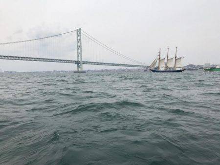 ガシラ  小潮  昼便