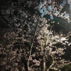 天気の合間を縫って。