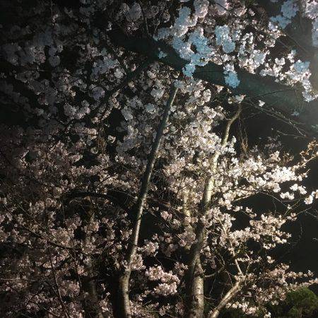 天気の合間を縫って。