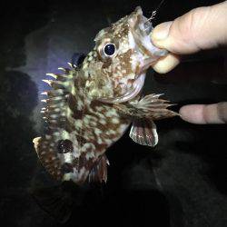 旅行のついでに