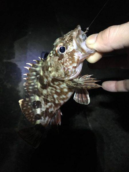 旅行のついでに