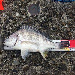 水潮には勝てず