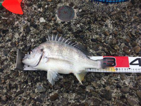 水潮には勝てず