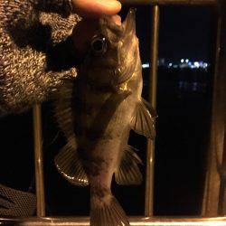 リベンジ成功!!