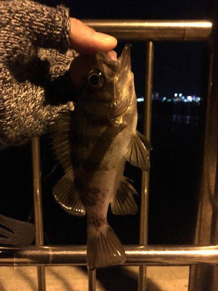 リベンジ成功!!