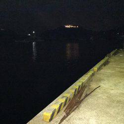 やっぱりアジング