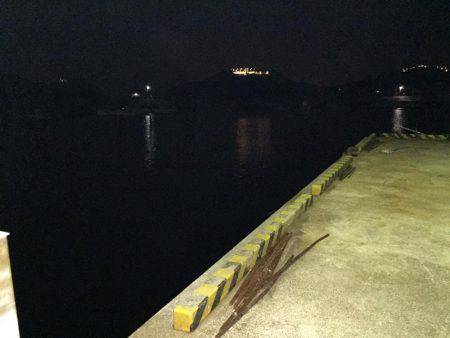 やっぱりアジング