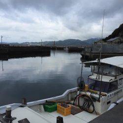 沼島ライトゲーム