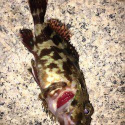 久々メバリング