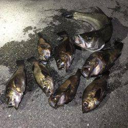 悪天候の中で。