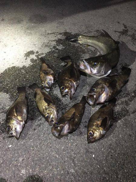 悪天候の中で。