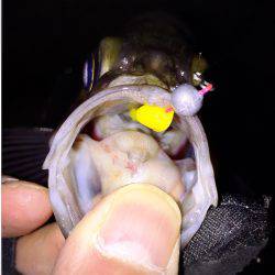 はじまりましたね！