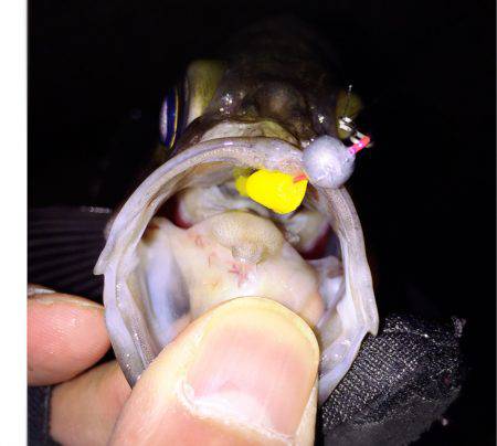 はじまりましたね！