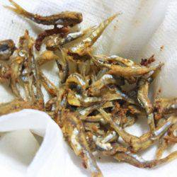 ファミリーフィッシング