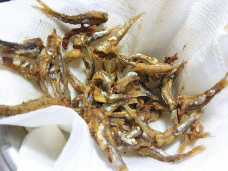 ファミリーフィッシング