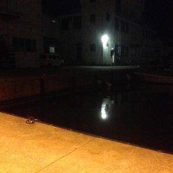 垂水漁港でメバリング!!