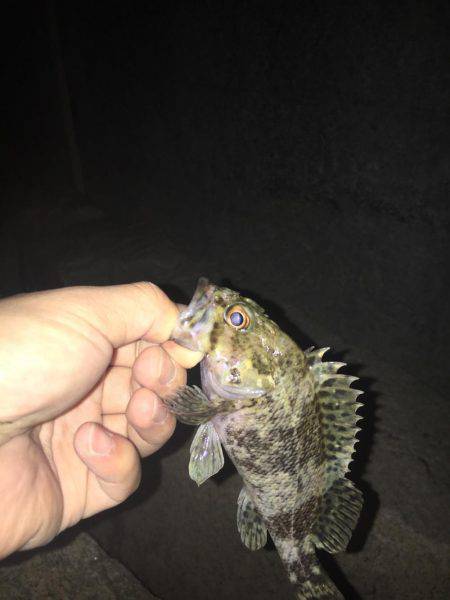 仕事終わりに。