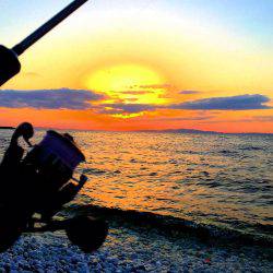 泉南メバリング