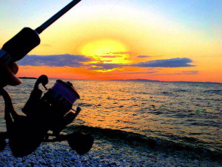 泉南メバリング