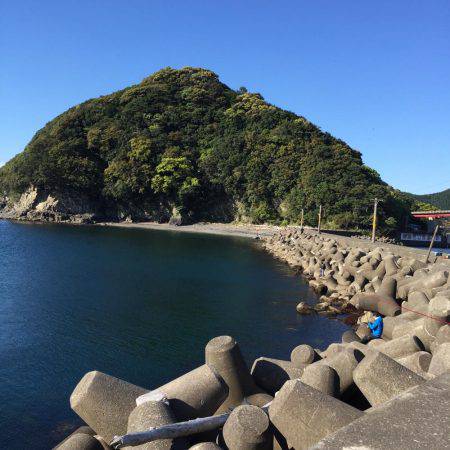 アオリイカ エギング