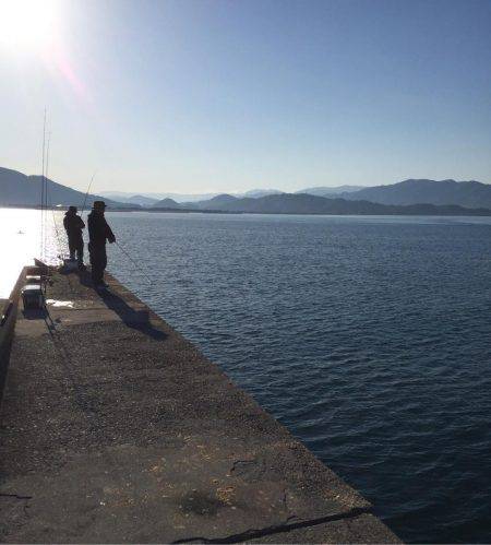 サゴシとエソフェスタ