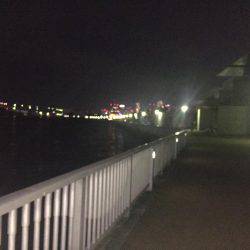 初シーバス？？