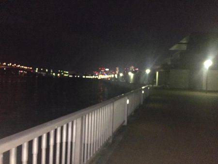 初シーバス？？