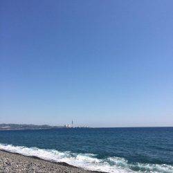 煙樹ヶ浜で初青物