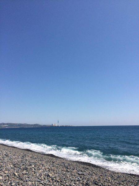 煙樹ヶ浜で初青物