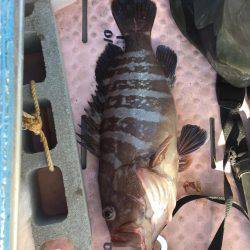 マイボートでタイラバ、ジギング