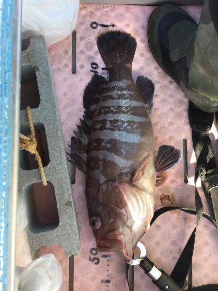 マイボートでタイラバ、ジギング