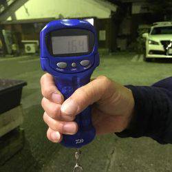 サイトエギングで良型ゲット‼️