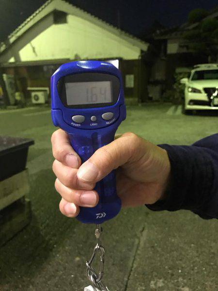 サイトエギングで良型ゲット‼️