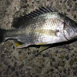 潮の流れが川のよう