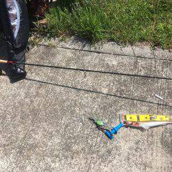 夜釣りに来たんだけど