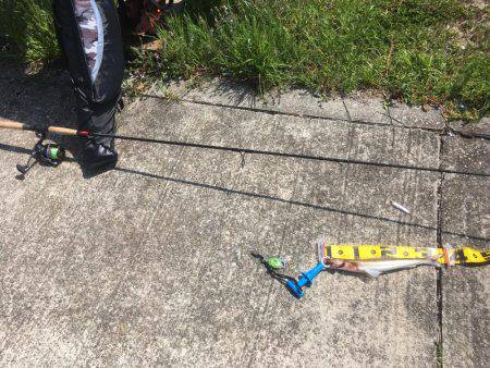 夜釣りに来たんだけど