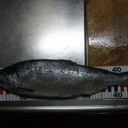 居残り、2日目。