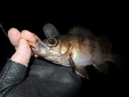 やっと２０Ｕｐ