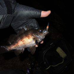 可能性は感じます