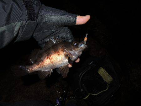 可能性は感じます