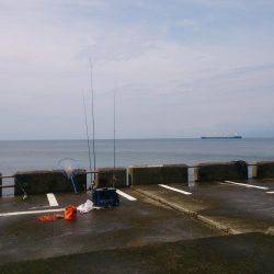 宝くじに当たりたいよ！