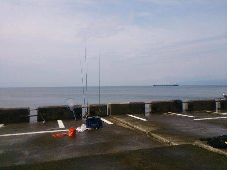 宝くじに当たりたいよ！